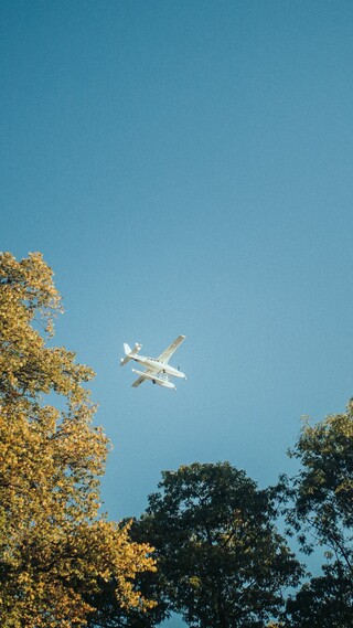 Ein weißes Wasserflugzeug fliegt im blauen Himmel über einer Baumreihe.